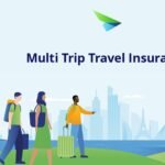 summer travel insurance